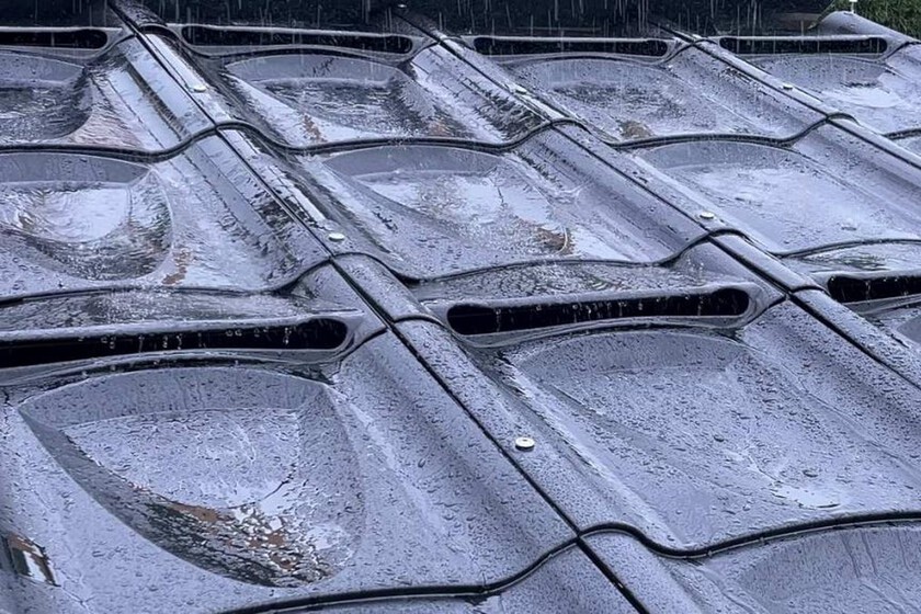 Cactile 1 1024x576