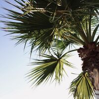 Vestidos y monos de Women'Secret para dar la bienvenida al verano, ahora por muy poco