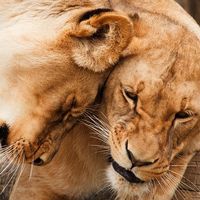 ¿Cómo vas a gustar a tus clientes si tú no te caes bien? 