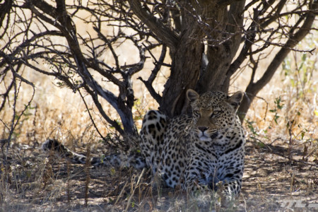 Descubriendo el interior de Namibia por carretera: 32 imágenes de una ruta inolvidable