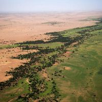 El Sahara se está comiendo pueblos enteros. África lleva casi 20 años intentando frenarlo con una muralla verde de 8.000 kilómetros