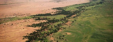 El Sahara se está comiendo pueblos enteros. África lleva casi 20 años intentando frenarlo con una muralla verde de 8.000 kilómetros 