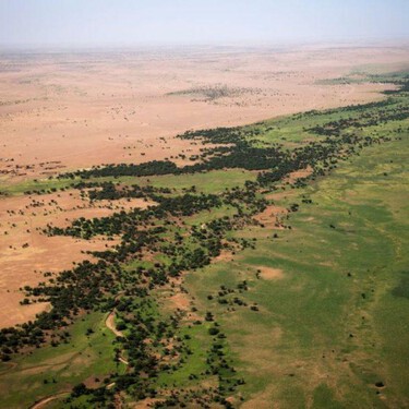 El Sahara se está comiendo pueblos enteros. África lleva casi 20 años intentando frenarlo con una muralla verde de 8.000 kilómetros 
