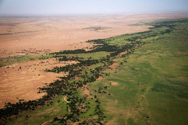 Muralla Verde Africa