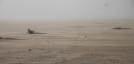 Desierto En Toyota 4x4 01