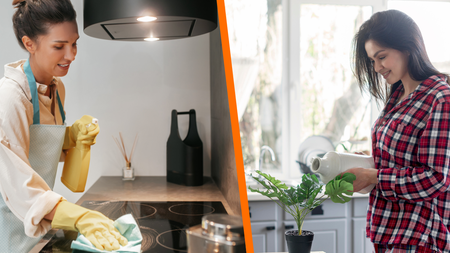 5 plantas que absorben la humedad y combaten el moho en tu cocina