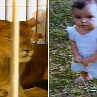 Ele tinha um pet "diferente" mas isso acabou em tragédia 