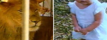 Ele tinha um pet "diferente" mas isso acabou em tragédia 