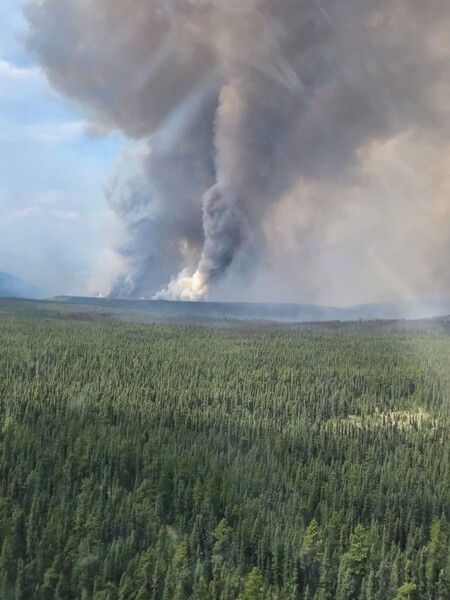 Incendio En Pocket Knife Creek