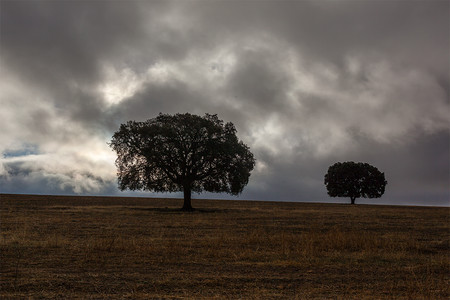 Dos maneras de pasar las fotos de Lightroom a Photoshop