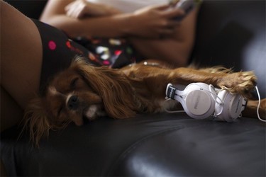 ¿Qué son esas caras? ¡Alegría que es viernes y toca bailar un rato! 