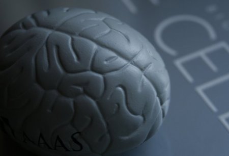 En el Día Internacional del Alzheimer te contamos cómo prevenirlo