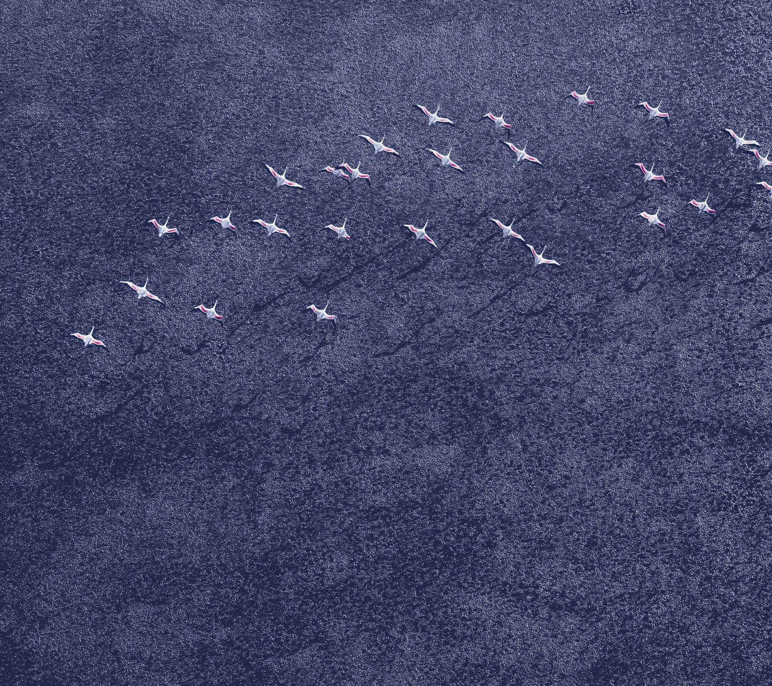 Foto de Fondos de Nexus (11/13)