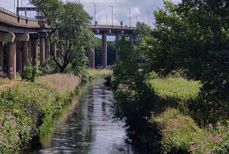 Rio Spagehtti Junction