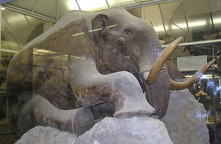 Mamut