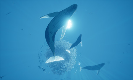 13 juegos submarinos para darte un refrescante chapuzón