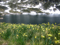 La foto de la semana: La primavera en los Pirineos