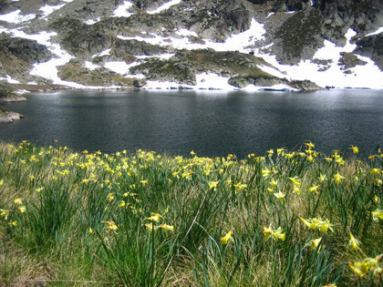 La foto de la semana: La primavera en los Pirineos