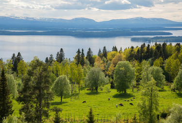 Estos son los "top ten" países con mejor reputación del mundo (y no, España no está entre ellos)