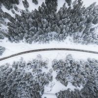 Científicos descubren una carretera de hielo que unía Rusia con Norteamérica hace 20.000 años