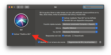 Borrar Conversaciones Siri Apple Macos