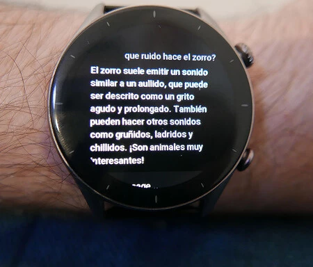 キツネは何と言っていますか