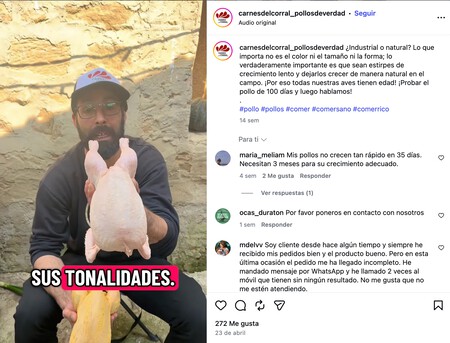 Pollos Amarillos No Tienen Por Que Ser Mejores