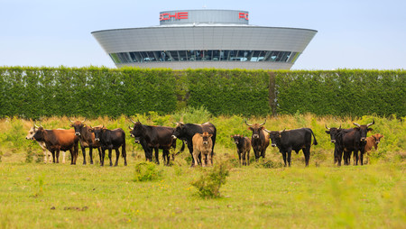 High Aurochs Off Road Area Leipzig 2017 Porsche Ag