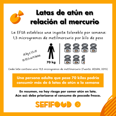 Latas De Atun Mercurio Pescado