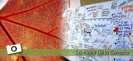 La última semana... en Xataka Foto