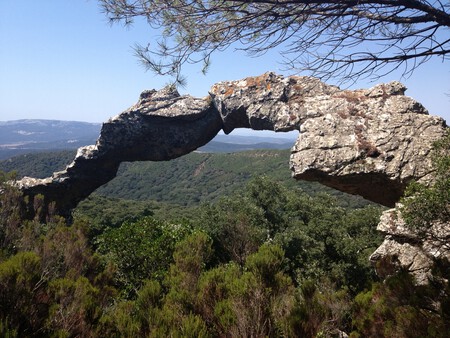 Parque Natural De Los Alcornocales Cadiz Espana 06