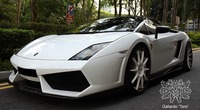 DMC Toro Lamborghini Gallardo LP-580