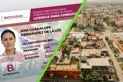 Licencia Oaxaca Examen Conducir