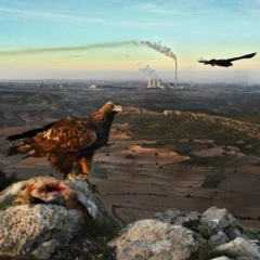 Foto 6 de 9 de la galería denuncia-ecologica en Xataka Foto