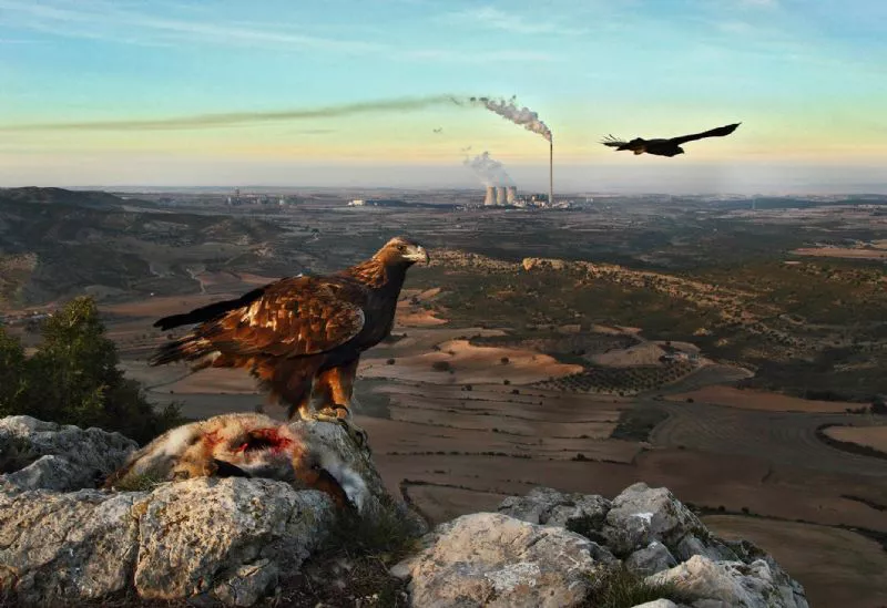 Foto de Denuncia ecológica (6/9)