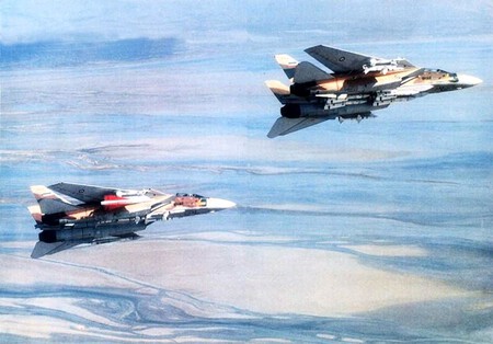 Irani F 14 Tomcats Carrying Aim 54 Phoenixs