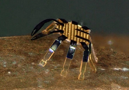 Alguien ha creado el robot más pequeño del mundo: tiene forma de cangrejo y puede caminar y saltar