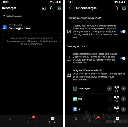 Netflix セルフダウンロード