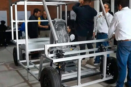 Olinia 3 1