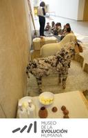 Los niños viajan al Neolítico en el taller infantil "Neolitics y los pequecultores", en Burgos 