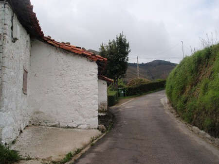 Image Gallery