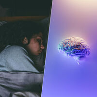 La relación entre sueño y Alzheimer, en una “sencilla” acción: nuestro cerebro también tiene que hacer limpieza