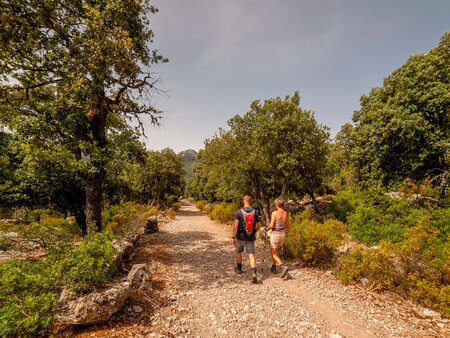 Senderismo En Escorca