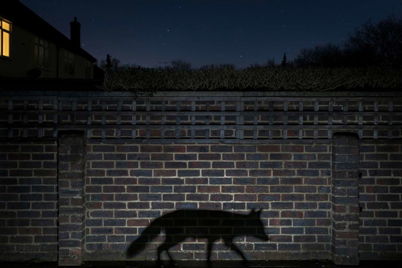 Tres españoles entre los ganadores del Wildlife Photograper Of The Year ...