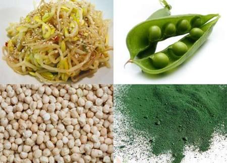Adivina adivinanza: ¿cuál es el vegetal que contiene más proteínas?