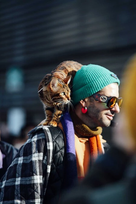 El gorro de punto es el accesorio que se roba las miradas en los mejores looks vistos en Pitti Uomo, y aquí x opciones en rebajas para llevarlo con actitud