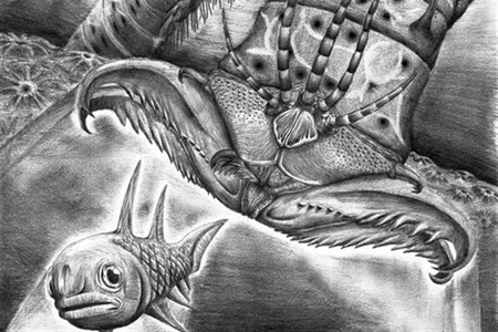Se identifica en un museo un gusano gigante de grandes mandíbulas