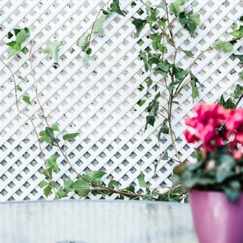 Nortene | Celosia Pvc 18 Mm 1x2 M Blanco | Decoración Exterior | Jardinería | Perfecto Para Ambientes Modernos