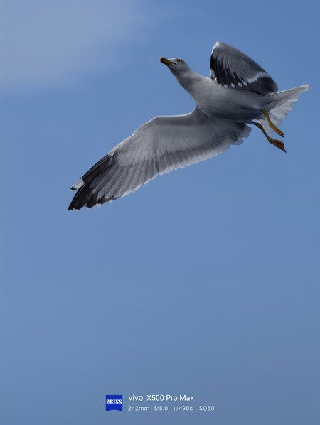 Img 20261029 200536