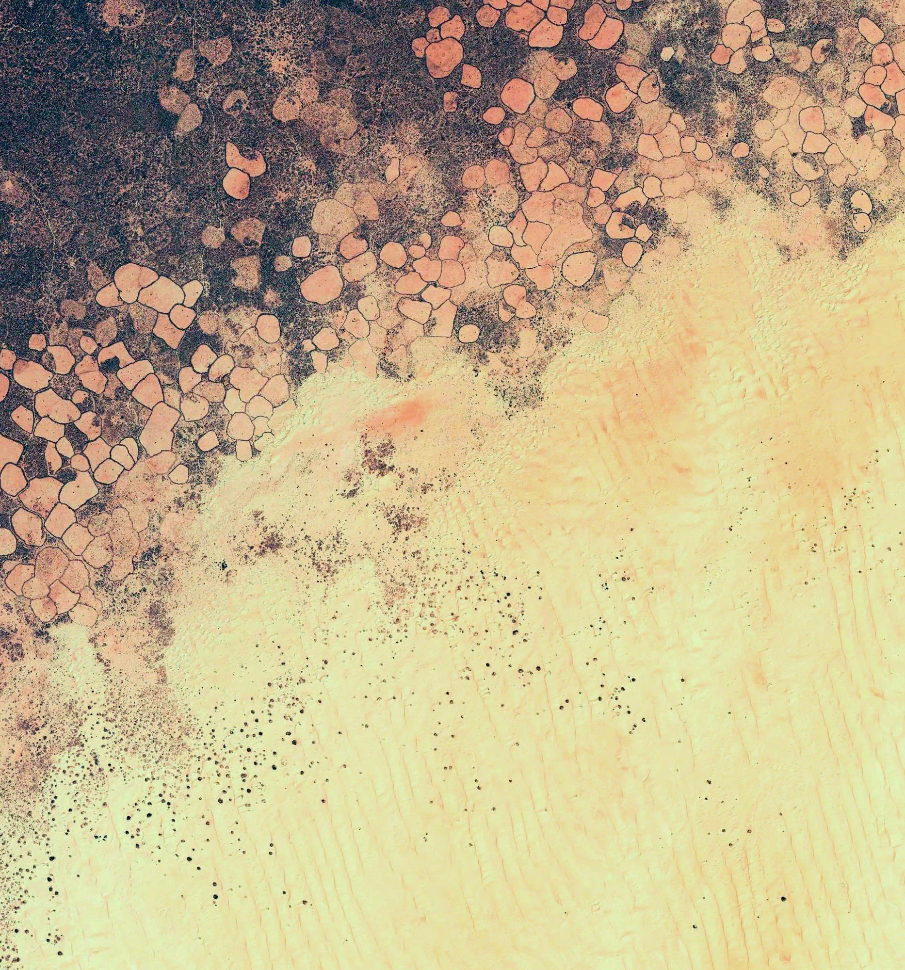 Foto de Fondos de Lollipop (7/11)